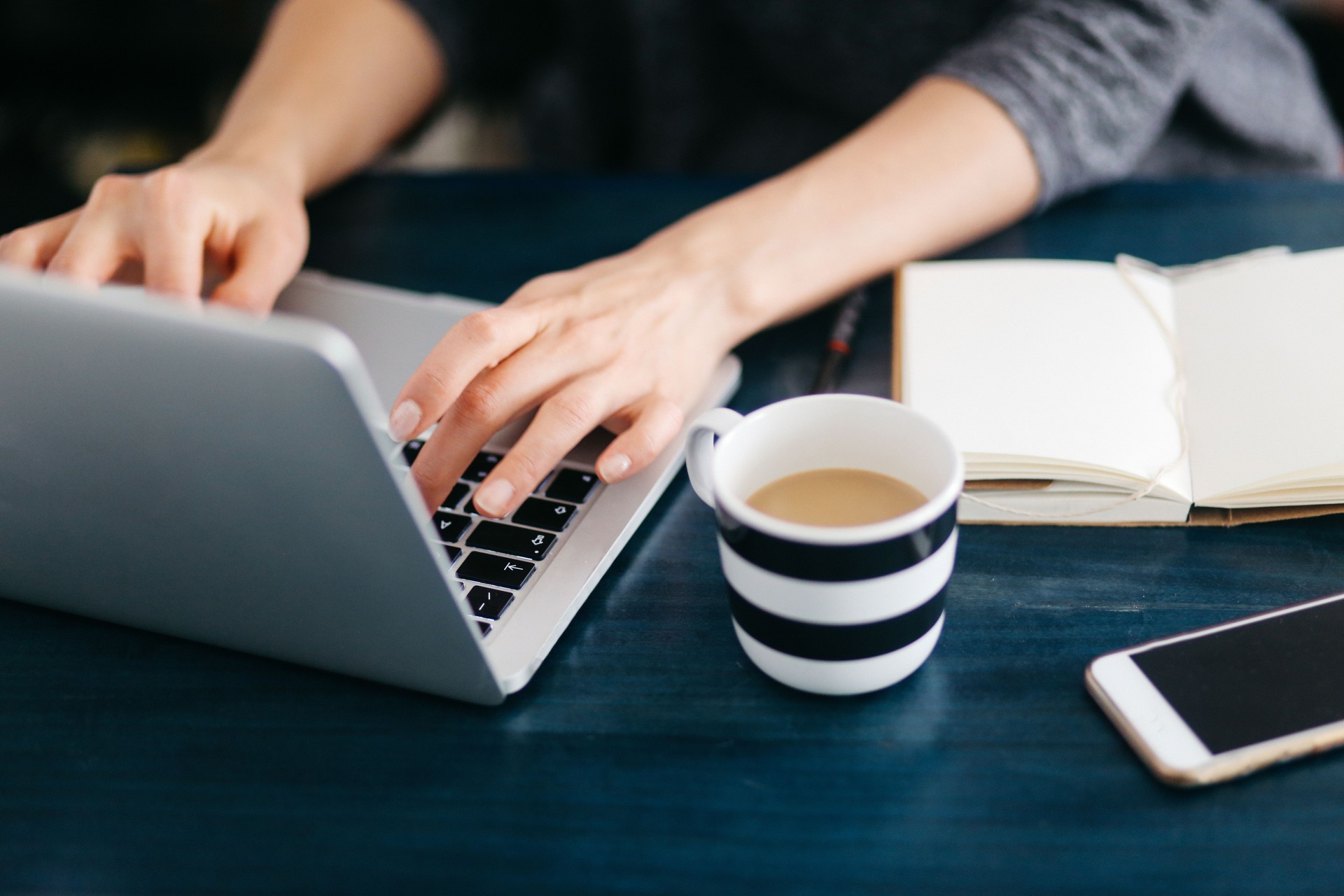 Woman freelancer or blogger writing on the laptop